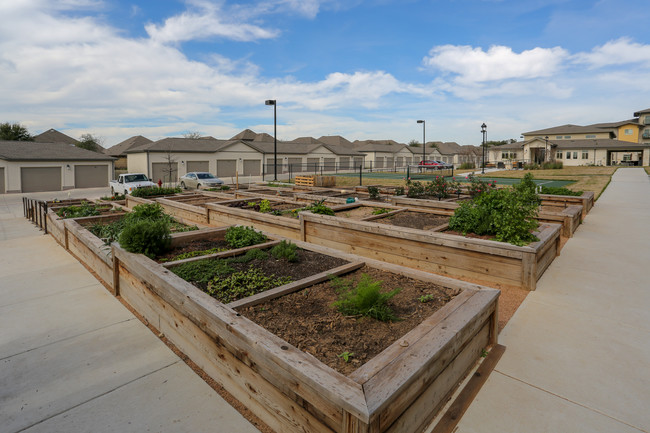 Affinity at Southpark Meadows 55+ in Austin, TX - Foto de edificio - Building Photo