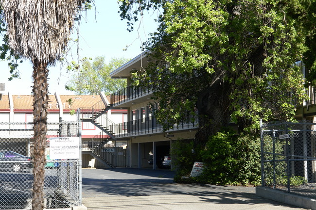 410 Redwood Ave in Redwood City, CA - Building Photo - Building Photo