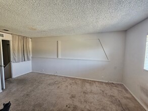 2533 Navarra Dr in Carlsbad, CA - Building Photo - Building Photo