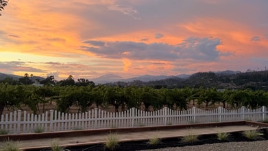 1395 Grove Ct in St Helena, CA - Building Photo - Building Photo