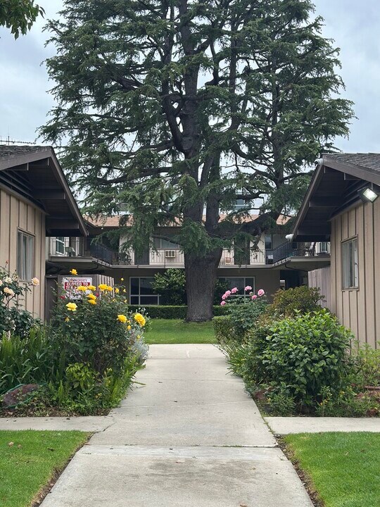 10863-10881 Whipple St in North Hollywood, CA - Foto de edificio