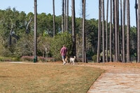 Apartments in North Charleston, SC