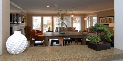 Cherry Creek in Houston, TX - Building Photo - Building Photo