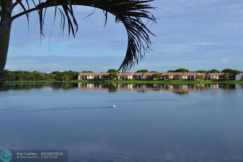 3050 Norwood Pl in Boca Raton, FL - Building Photo