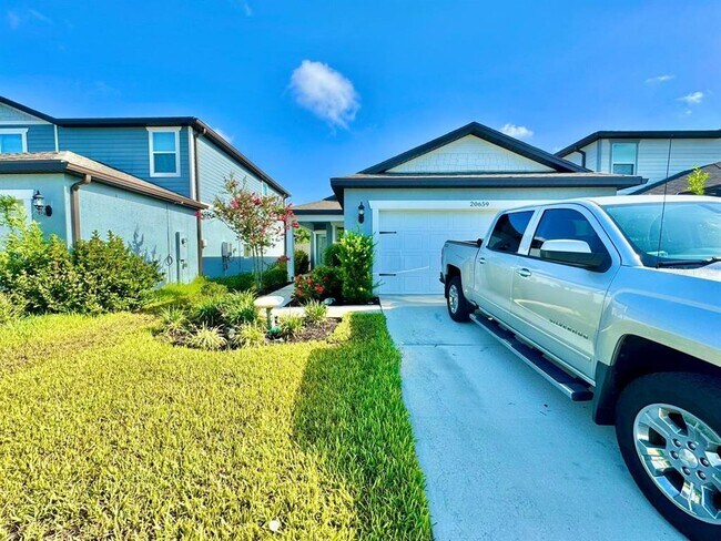 20659 Drake Elm Dr in Land O Lakes, FL - Building Photo - Building Photo
