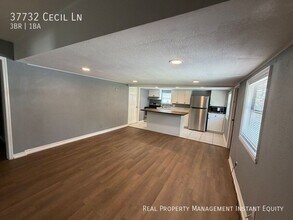 37732 Cecil Ln in Zephyrhills, FL - Building Photo - Building Photo