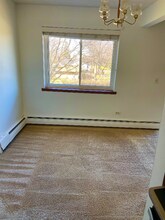 2315 E Olive St in Arlington Heights, IL - Building Photo - Building Photo