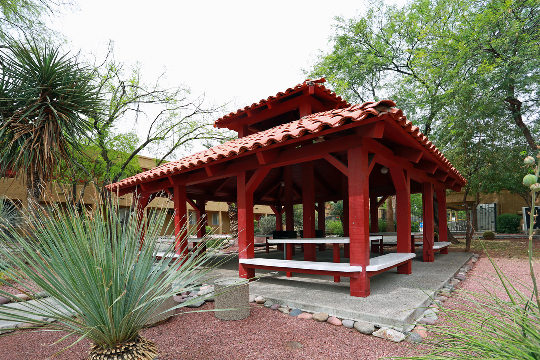 Sunpointe Gardens Apartment in Tucson, AZ - Building Photo