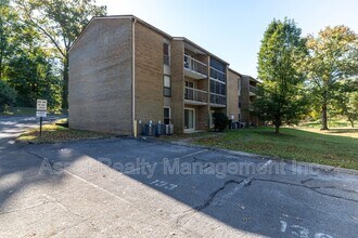 407 Canberra Dr in Knoxville, TN - Foto de edificio - Building Photo