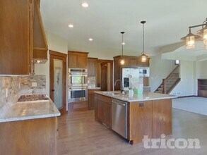 20041 Harness Ave in Lakeville, MN - Building Photo - Building Photo