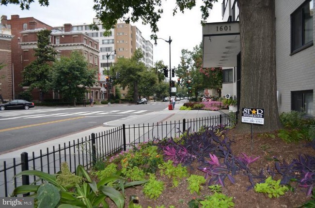 1601 18th St NW-Unit -509 in Washington, DC - Building Photo - Building Photo