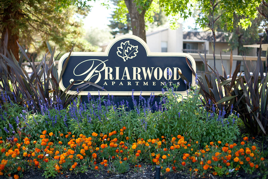 Briarwood Apartments in Pleasant Hill, CA - Building Photo