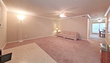 14211 Briarsage Ct in Houston, TX - Building Photo - Building Photo