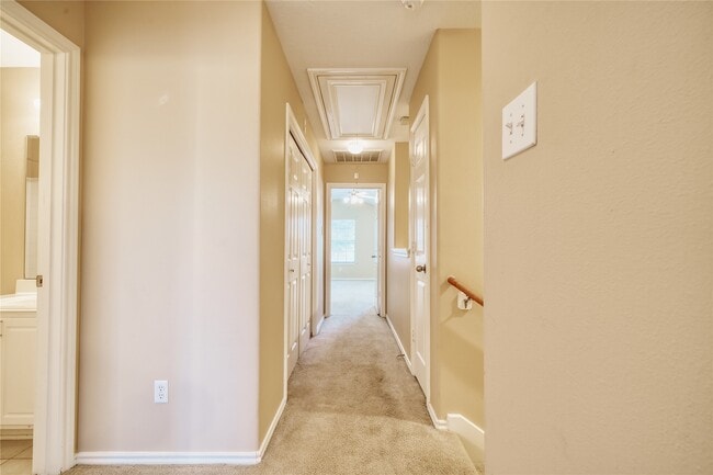 2831 Hackamore Hollow Ln