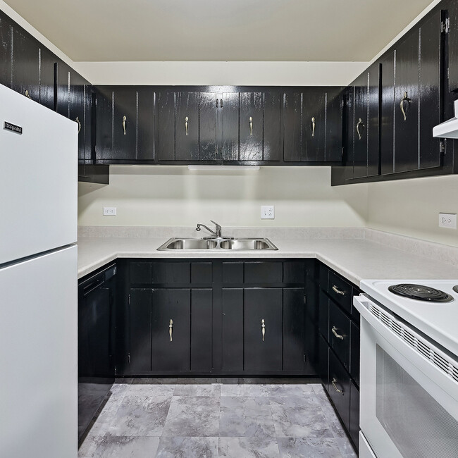 ReNew Lake Arlington