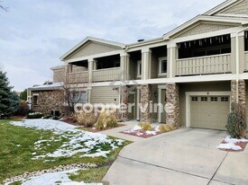 14167 Sun Blaze Loop in Broomfield, CO - Building Photo