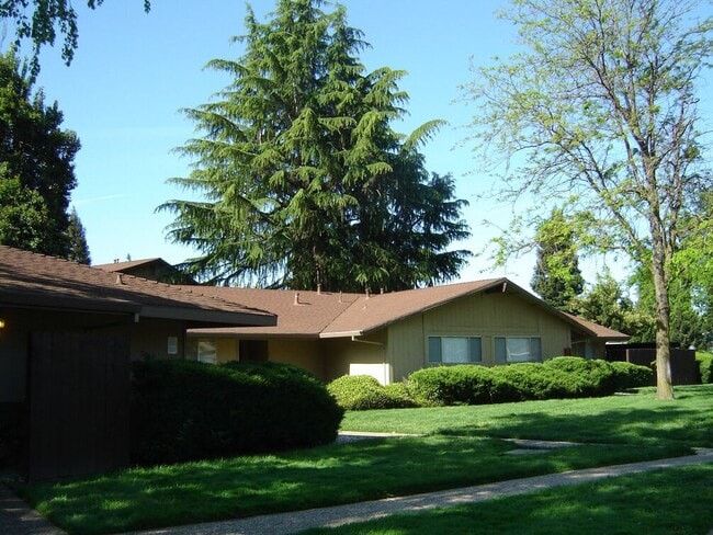 The Place Apartments