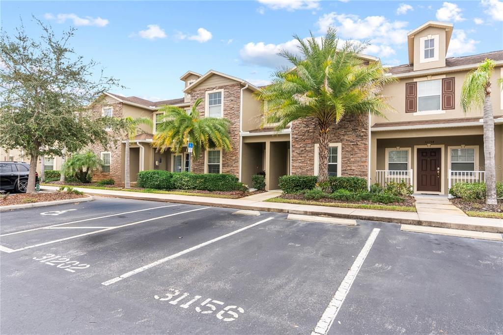 31156 Claridge Pl in Wesley Chapel, FL - Building Photo