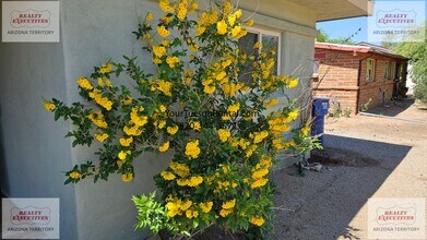2934 E Cushman Dr in Tucson, AZ - Building Photo - Building Photo