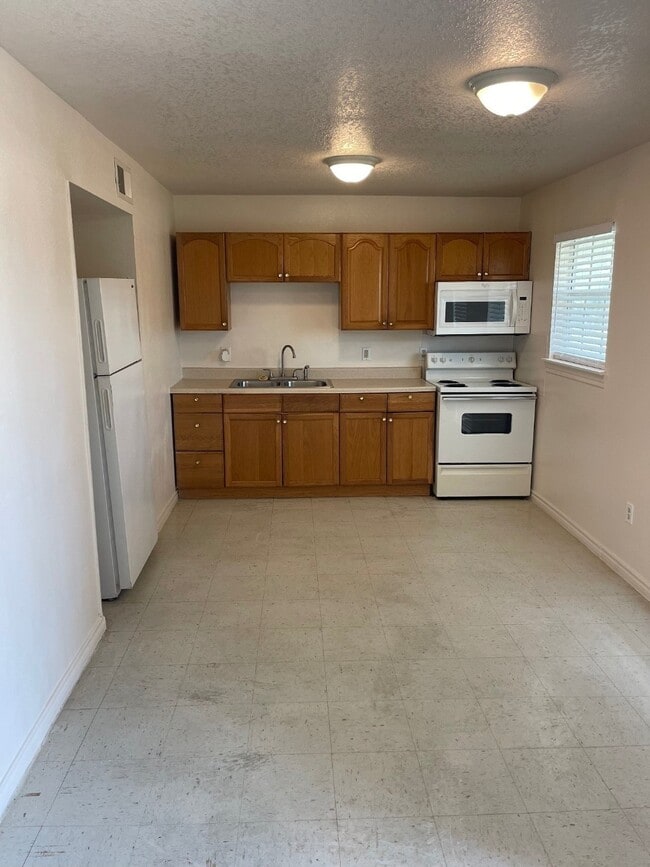 411 Tennessee St in Houston, TX - Building Photo - Building Photo