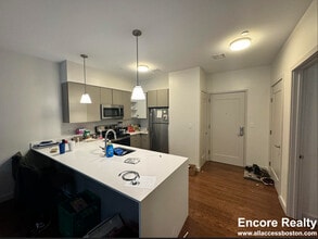 77 Thorndike St, Unit 206 in Brookline, MA - Building Photo - Building Photo