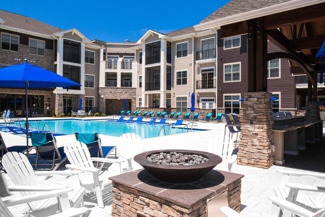 Silver Collection At The Park photo'