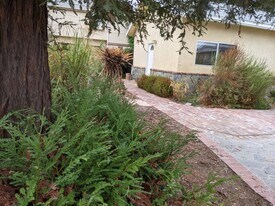 17915 Erwin St, Unit Apartment in Encino, CA - Building Photo