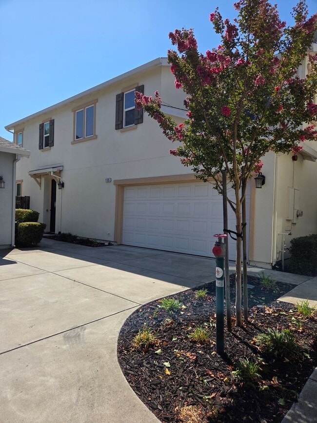 1105 Strawberry Ln