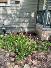 1805 Garfield St in Bastrop, TX - Building Photo - Building Photo