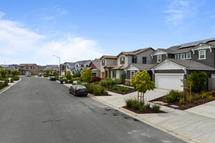 Oriana and Luna at Aviano in Antioch, CA - Building Photo