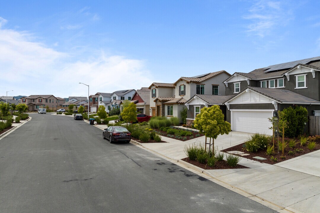 Oriana and Luna at Aviano in Antioch, CA - Building Photo