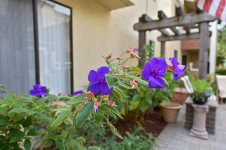 Bart Springs Apartments in Hayward, CA - Building Photo - Building Photo