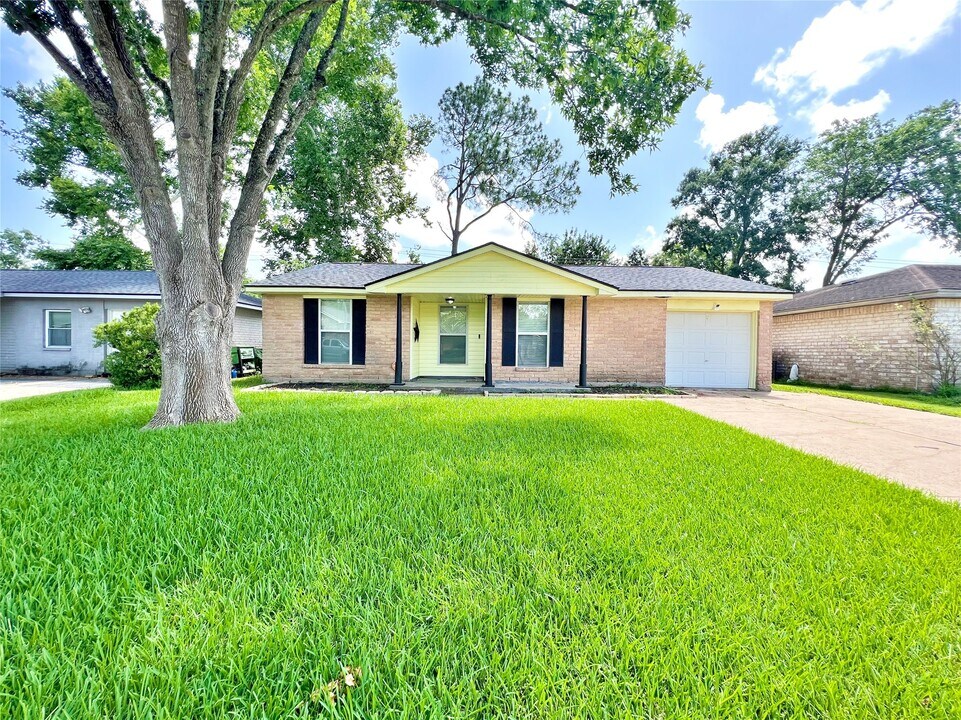 16914 David Glen Dr in Friendswood, TX - Building Photo