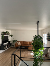 2837 Vallejo St, Unit 106 in Denver, CO - Building Photo - Building Photo