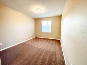 27023 Juniper Bay Dr in Wesley Chapel, FL - Building Photo - Building Photo