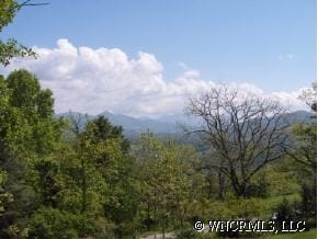 332 Calhoun Ridge Dr in Waynesville, NC - Building Photo - Other