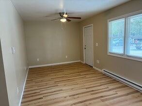 12 W Washington St, Unit 103 in Bath, NY - Building Photo - Building Photo