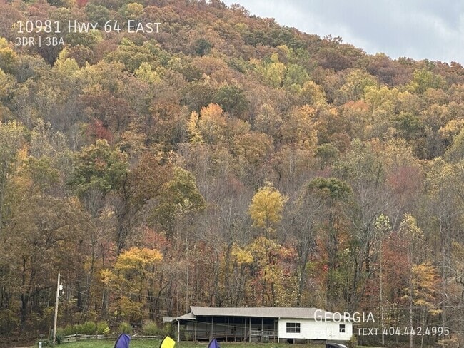 property at 10981 U.S. 64 E