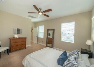 2049 Salice Wy in Brentwood, CA - Building Photo - Building Photo