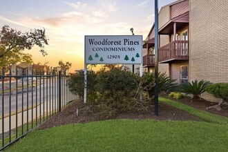 12905 Woodforest Blvd in Houston, TX - Building Photo - Building Photo