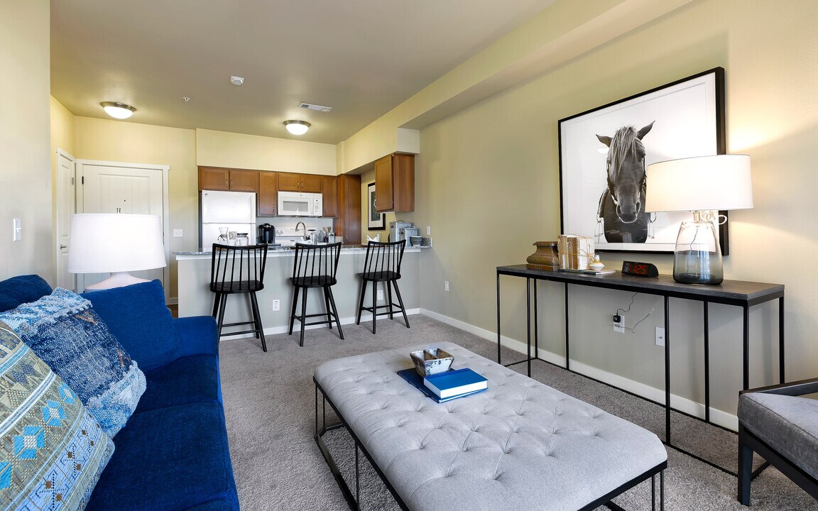 Affinity at Round Rock 55+ in Round Rock, TX - Building Photo