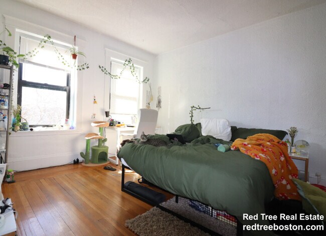 405 Huntington Ave, Unit 22 in Boston, MA - Foto de edificio - Building Photo