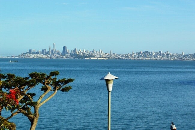 5 Josephine St in Sausalito, CA - Building Photo - Building Photo