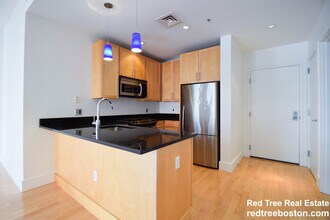 181 Essex St, Unit 302 in Boston, MA - Foto de edificio - Building Photo