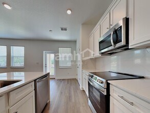 6772 Atlantic Bch Ave in Wesley Chapel, FL - Building Photo - Building Photo