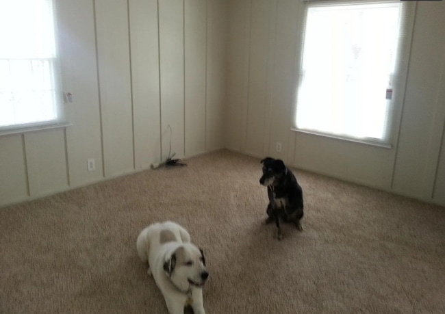 property at 6212 Marigold Ter