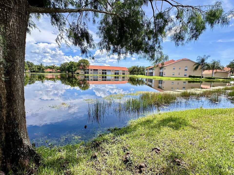 26700 Rosewood Pointe Dr in Bonita Springs, FL - Building Photo