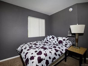 3345 Oliphant St in San Diego, CA - Building Photo - Building Photo