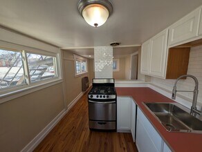 1280 Race St, Unit Apt 2 in Denver, CO - Building Photo - Building Photo