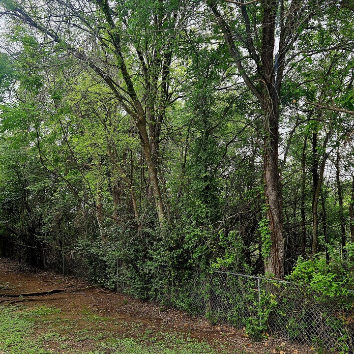 3012 Whisper Oaks Ln in Georgetown, TX - Building Photo